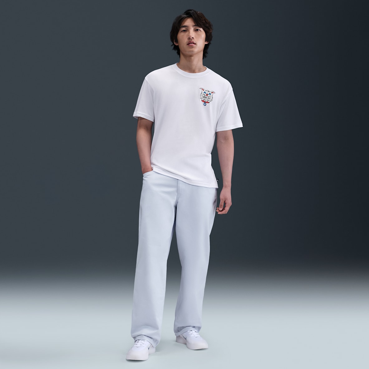 NIKE SB アメリカ国旗デザイン ジャケット パンツ シャツ 3点セット NIKE SB アメリカ国旗デザイン ジャケット パンツ シャツ 3点